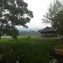 유등연지 이미지