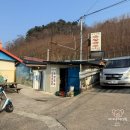 고향의맛손칼국수 이미지