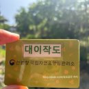 5인실대이작도 오션뷰 솔직후기. 무의도 자연휴양림 즐길거리 총정리‼️국사봉 등산, 산책로, 하나개...