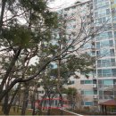 한대프라자약국 이미지