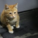 남양산충전소 이미지