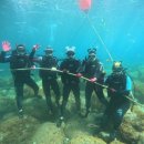 학포웰빙가 | [울릉도자유여행] Day 4. 나리분지/태하향목관광모노레일/울릉도 스쿠버 다이빙