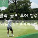 버디버디골프샵