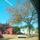 군산시 나운3동 주민센터 이미지