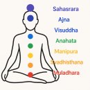 테라피 요가 이미지