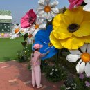 월드빌리지 | 아이랑 경주월드 도투락빌리지 봄나들이 다녀온 후기