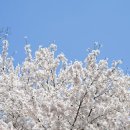 대청호카페 금린 이미지