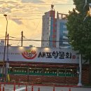 포항물회 | 포항여행맛집 추천 &#34;새포항물회집&#34; 리얼후기 찐맛집