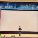 디어베어켄넬 네이버블로그