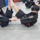 SDK스타합기도 이미지