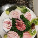 참치야놀자