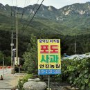 연진농장 이미지