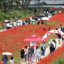 괴산미향 이미지