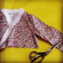 딸기네 민박 | 철릭한복입고 일본여행계획~-오사카 여행준비.