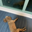 복내식당 이미지