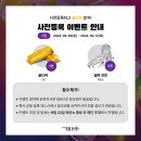 영악세사리 이미지