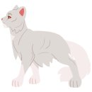 화이트테일 whitetail 네이버블로그