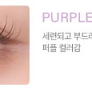 다비치안경안중터미널점 이미지