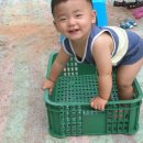 성재민박 Daum카페
