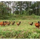 (주)고향이야기 이미지