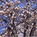 하동경찰서 앞 이미지