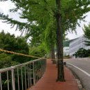 봉곡동 족구장 이미지