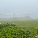 꽃동산교회 앞 이미지