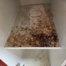 청학11(주공7단지@) 이미지