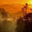 헤어카페 이미지