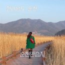순천만풍경 | 3월 순천만습지 갈대숲 일몰 후기 스카이큐브 갈대열차 가격 시간표