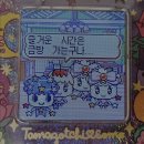 폴리타운B 대게나라 앞 | [멜버른 워홀 D+255] 일하고 놀고 먹는 일상