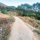 공원부동산 중개인사무소