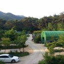 유한회사 여행이야기