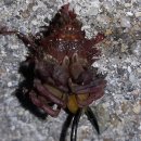 하리선착장 이미지