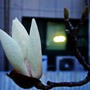 안법고등학교 이미지