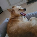 두리게임장 이미지