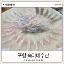 포항 장성동 횟집 숙이네수산 현지인맛집 인정한 신선한 회 솔직후기