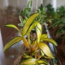 명환농장 이미지