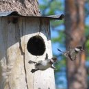 김명자굴국밥 이미지