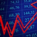 금강유화 이미지