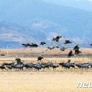순천만둥지