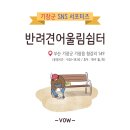 어울림 | 부산 기장 반려견 놀이터 추천! 어울림쉼터 후기