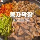 봉자숯불구이 | 봉자막창 원종점 부천원종동맛집