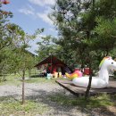 다옴 캠핑장 이미지