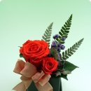 고골초등학교 이미지