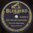 You Are My Sunshine-Pine Ridge Boys 이미지