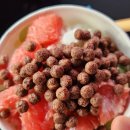 영스포렉스 이미지