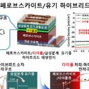 페로브스카이트 태양전지 효율 한계 넘어서다 근적외선까지 흡수 25% 효율 달성 기사 이미지