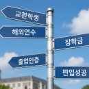 [토익 공부 장점] 수능 미적분은 끝났지만 토익은 평생 가는 이유 (현실 후기)