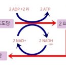피트니스 209 이미지